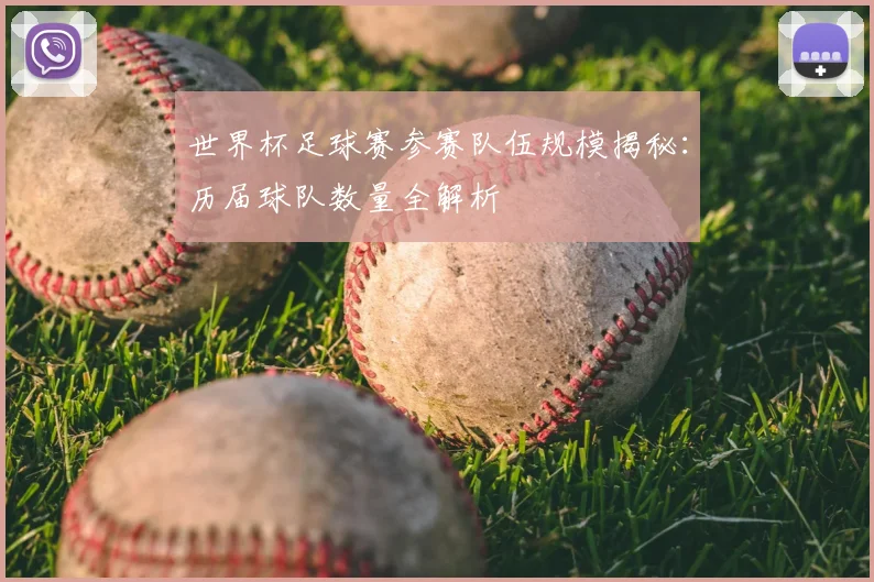 世界杯足球赛参赛队伍规模揭秘：历届球队数量全解析