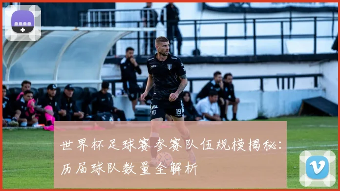 世界杯足球赛参赛队伍规模揭秘：历届球队数量全解析